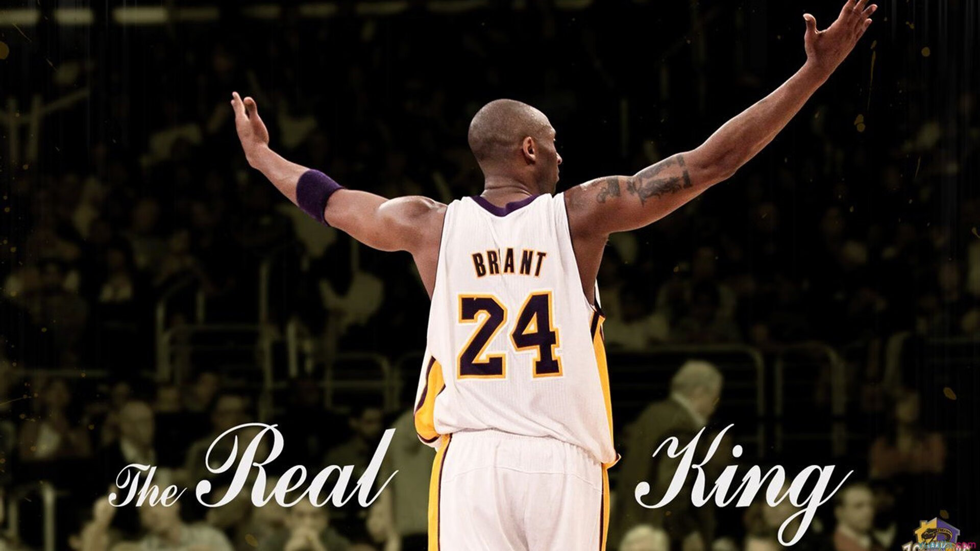 【规则调整】裁判裁决频繁变化的背后原因，裁判错判怎么办