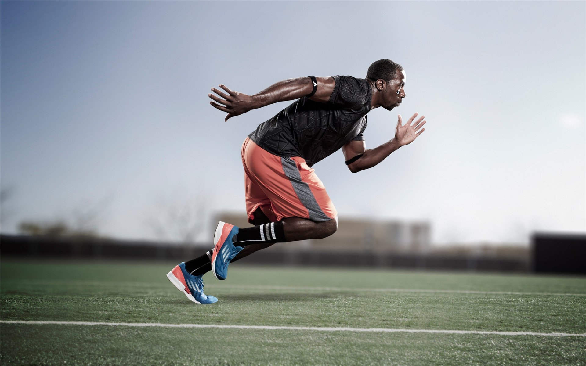 比赛现场观众人数创新高，篮球热潮不减，篮球赛观众须知